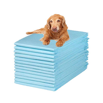 Des tampons jetables pour urine pour animaux de compagnie avec une capacité d'absorption de 100 à 2000 ml, à nettoyer rapidement et facilement