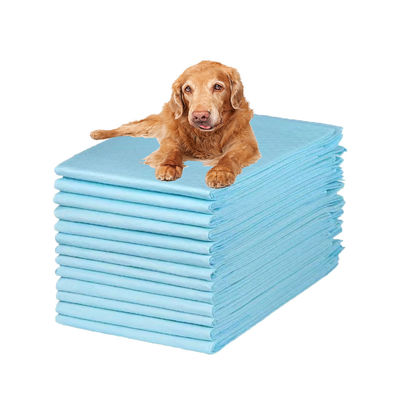 Nettoyage pour animaux de compagnie Amortisseurs absorbant à usage unique pour l'entraînement des chiots Couche pour chien à haute absorption