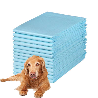 Couches de couches pour animaux de compagnie réutilisables pour les toilettes pour chiots pour l'entraînement des chiots Capacité d'absorption 100 ml-2000 ml