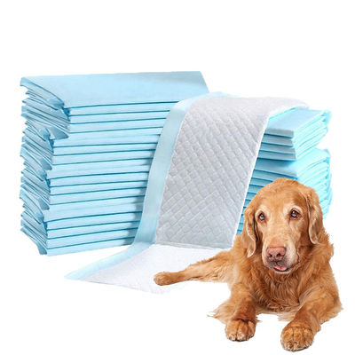 Des couches d'urine absorbant pour chiots Pet personnalisé étiquette privée Pet chien couche de formation couche