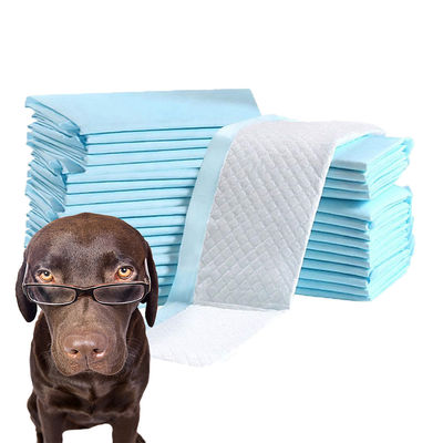 Produits d'entraînement pour animaux de compagnie certifiés CE ISO
