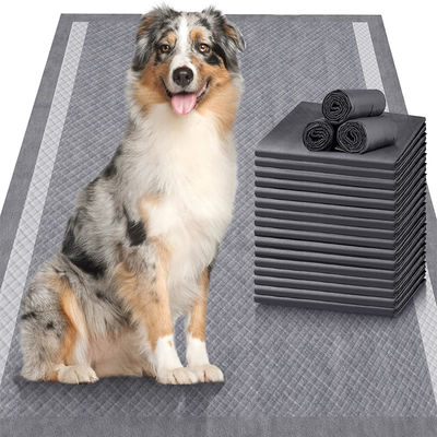 Des coussins d'entraînement jetables pour animaux avec du charbon de bambou super absorbant et un autocollant adhésif