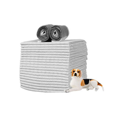 Produits d'entraînement pour chiens et chats à base de poudre de bambou