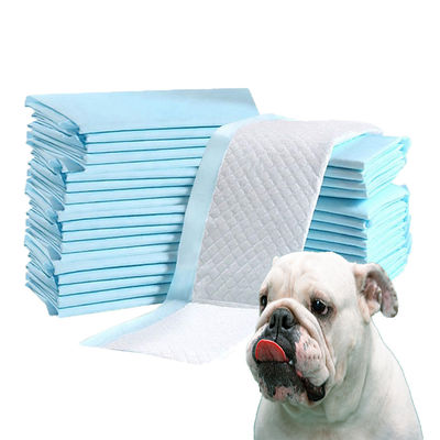 Sacs de caca S M L XL XXL Absorption de l' urine à usage unique Coussinets pour animaux avec autocollants antidérapants