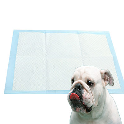 Entraînement d'animaux à usage unique Les coussinets pour animaux de compagnie pour chiens en noir, blanc, bleu et vert