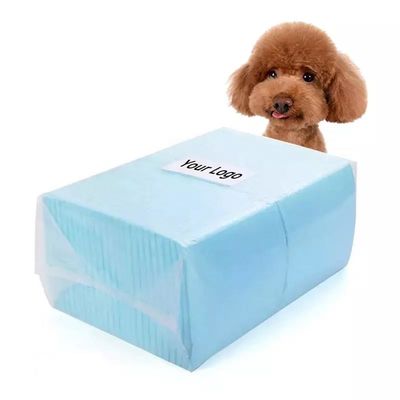 60 x 90 Pet Potty Pads pour chiot toilettes entraînement de la mousse de pâte de pâte SAP Noyau de tissu non tissé