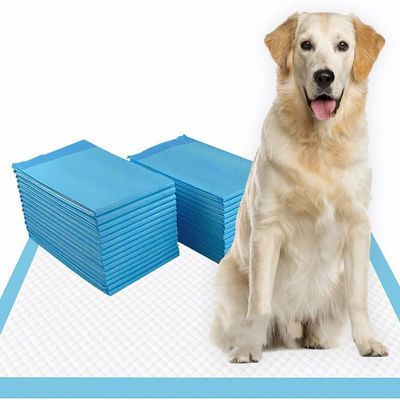 100 à 2000 ml de capacité d'absorption Pés jetables pour animaux de compagnie Pés sous coussinets avec certification CE