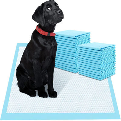 100 à 2000 ml de capacité d'absorption Pés jetables pour animaux de compagnie Pés sous coussinets avec certification CE