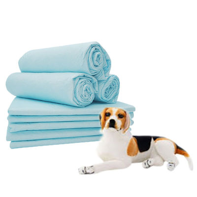 Contrôle de l'odeur Séchage rapide et extra-large Piss Pads jetables pour chiots pour chiens Certifié CE ISO