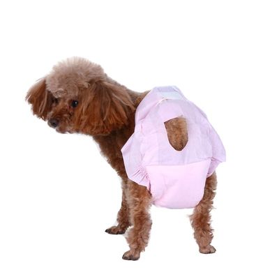 Des couches pour chiens de grande taille pour chiens de couleur personnalisée couches jetables pour chiens pour le développement durable