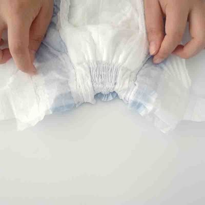 3D Canal de prévention des fuites couches jetables pour animaux de compagnie pour chiens Fabriqué par Pet Diaper
