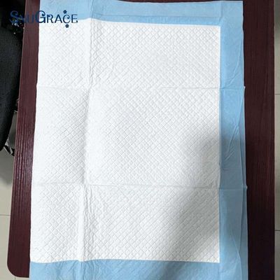 Pilleuse à usage unique durable pour chien et chat