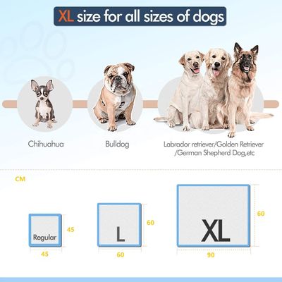 Poids total en gramme 30-70 Incontinence Absorbeur jetable Pour chiots