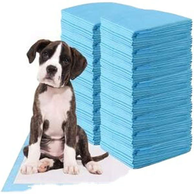 Pad d'entraînement pour chiots d'élevage