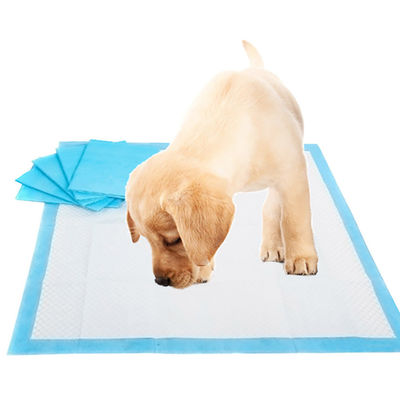 Pad d'entraînement pour chiots d'élevage