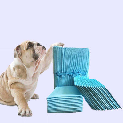 Pad d'entraînement pour chiots d'élevage