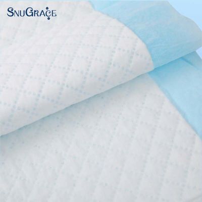 Pad de changement pour chiot tapis de toilette pour chien chat absorbant à l'eau à l'intérieur
