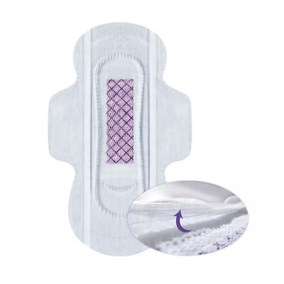 Mini-serviette hygiénique adaptée aux animaux de compagnie pour le traitement de l'incontinence à l'hôpital et dans la famille