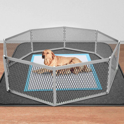 Des coussins d'entraînement jetables pour chiens et chiots
